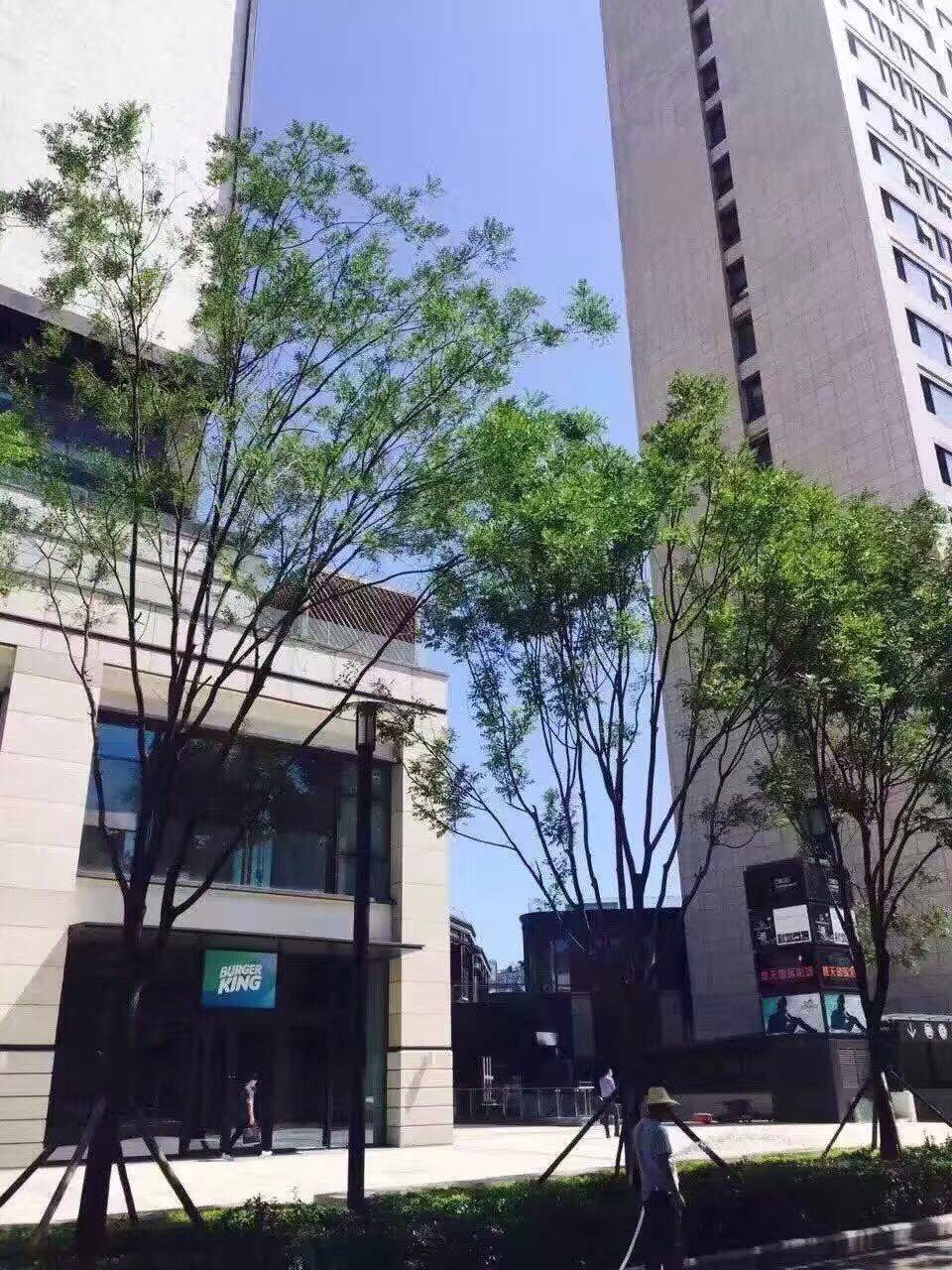 北京石榴中心專業寫字樓出租網